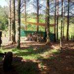 Our Glamping Site Is Set In Mature Woodland